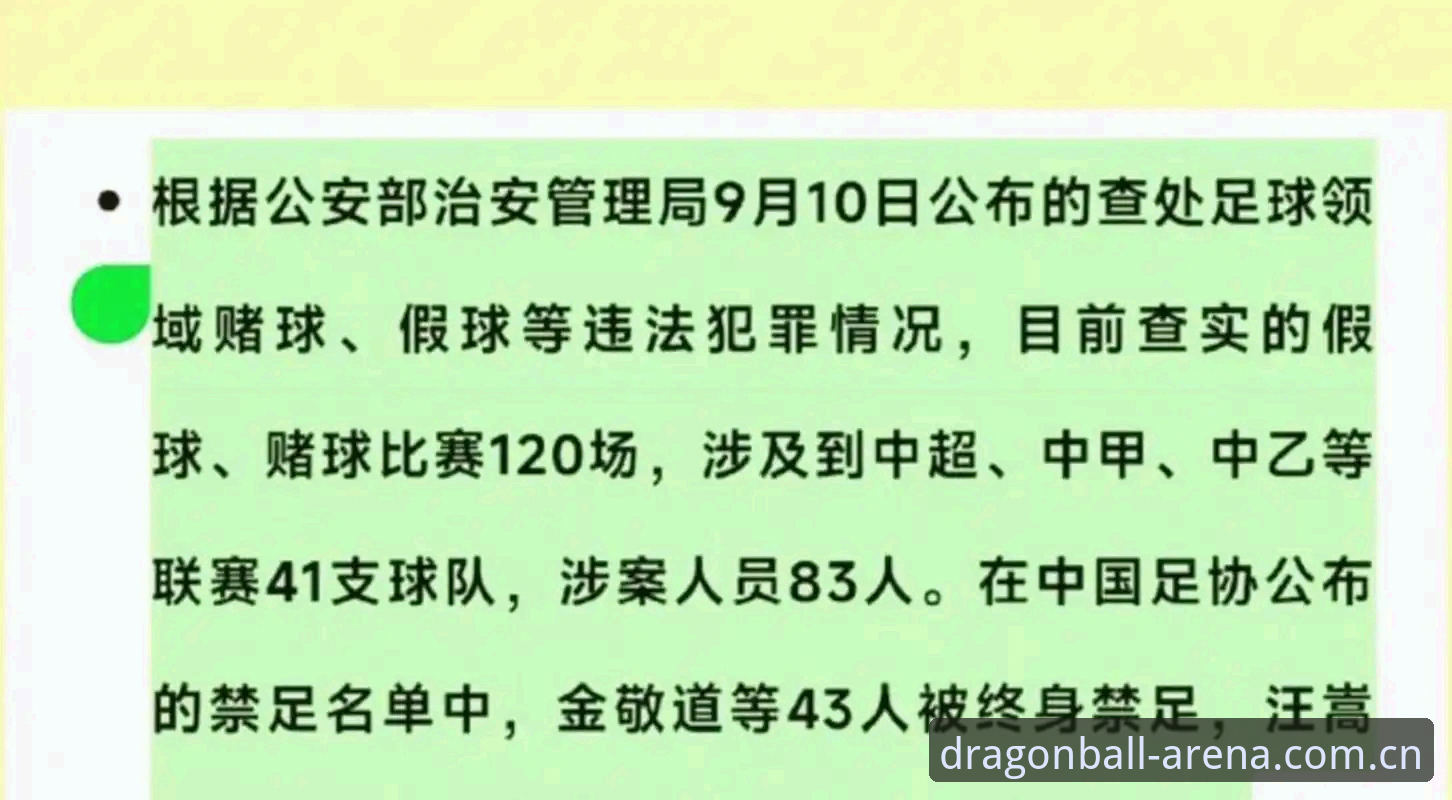 龙珠体育赛事资讯 中国足协第三批禁足名单详解:65人受罚背后的足坛反腐风暴
