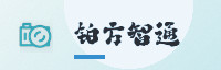 partner
